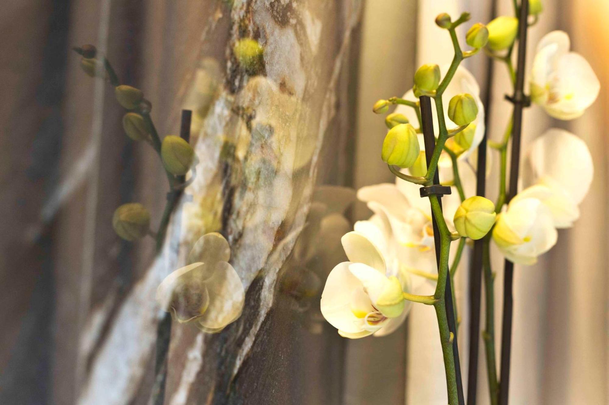 Boutique Hotel Sirmione